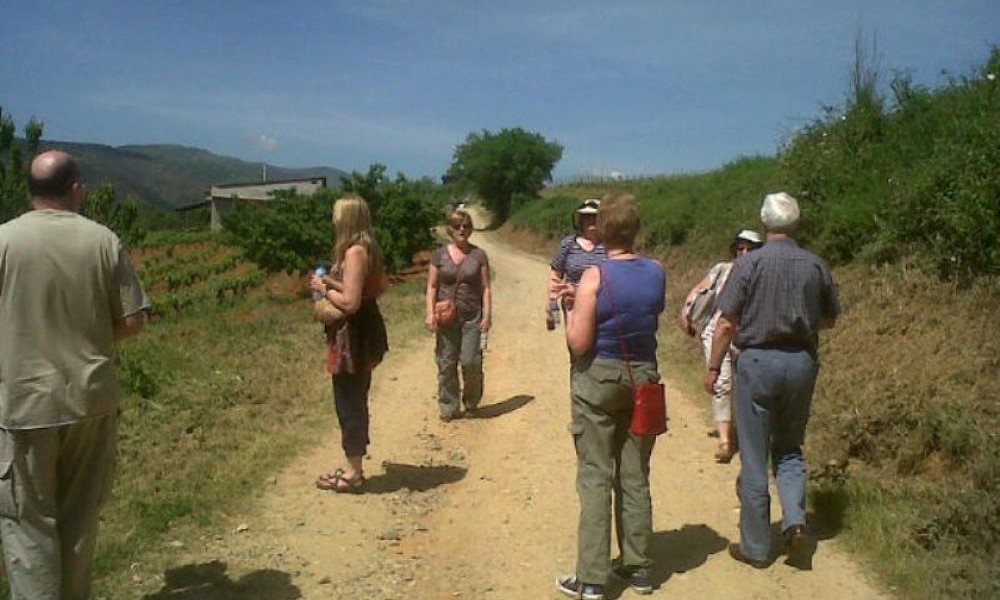 Walking part of the Camino