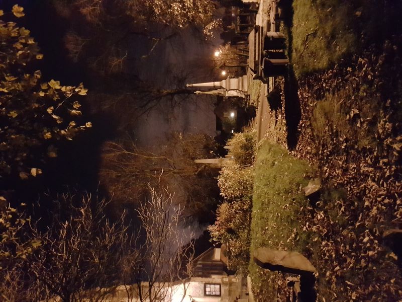 At night the churchyard is home to foxes, owls and bats